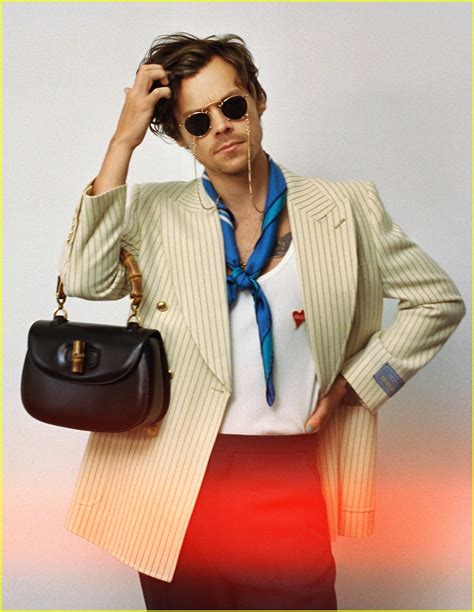 harry styles gucci campaign meaning|harry styles in gucci dress.